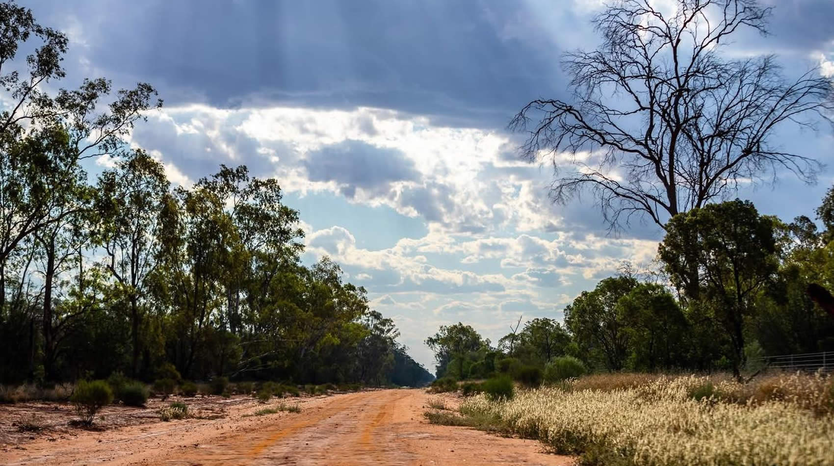 Red dirt road running between stands of eucalypts under a broken sky