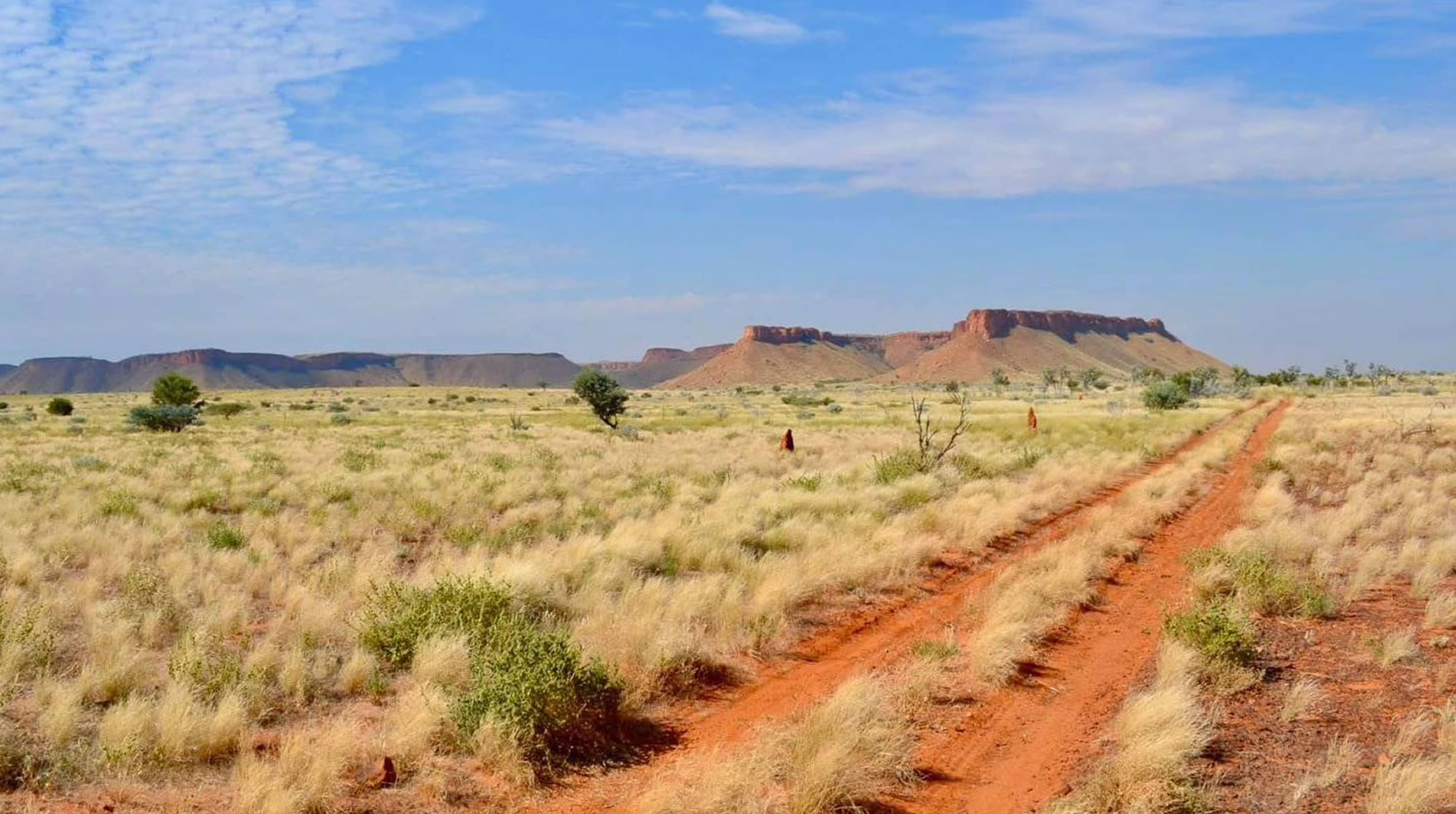 A red dirt track cutting through golden grassland toward distant escarpments